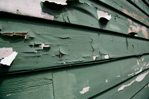 Best Storm Damage Siding Repair  in Oberlin, LA